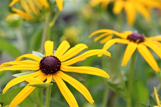 六年级毕业的句子简单到哭的56句