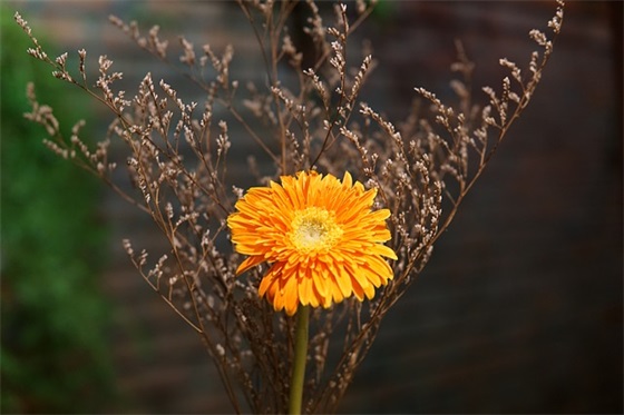 祝愿孩子生日的文艺句子