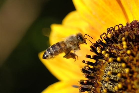 表白暖心的句子简短 520表白浪漫的句子