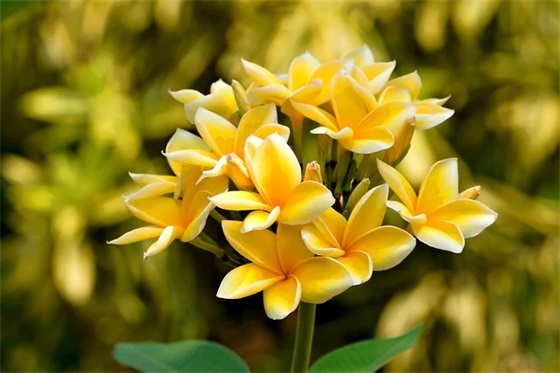 表示生活很累的句子 身心很累的句子