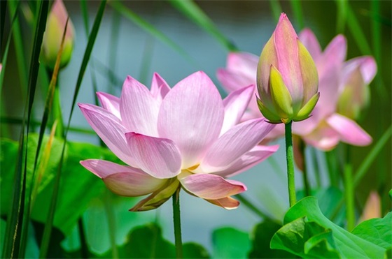 医药行业研究报告范例6篇