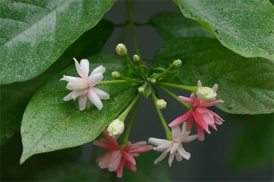 中国形象范例6篇
