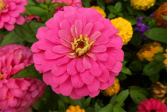 夫妻经历过风雨励志的句子