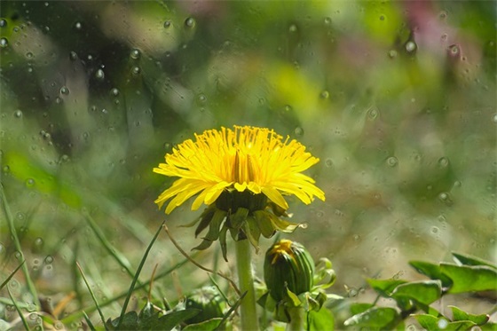 结婚用爱的告白句子102句