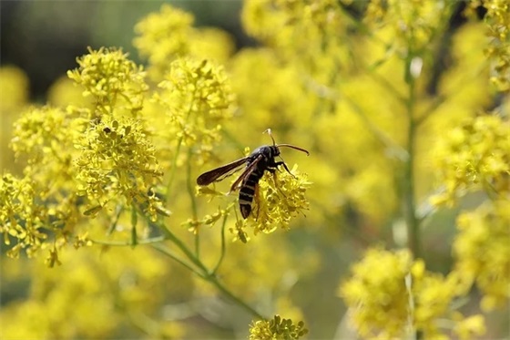 qq空间描述展示句子115句