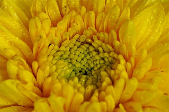 重新振作的励志句子85句