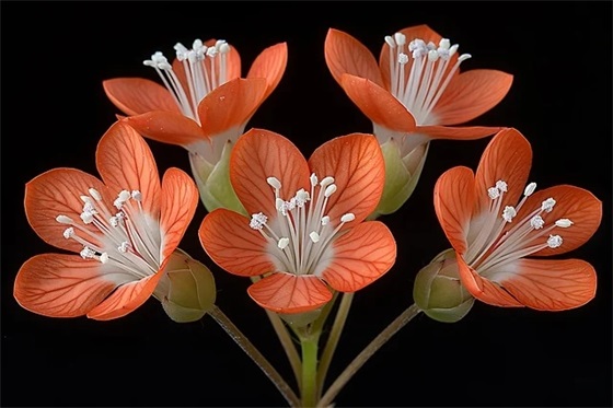 周末的心情好的短句子