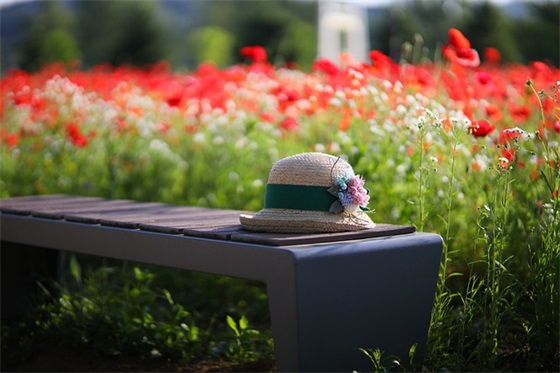 闺蜜网名6人可爱萌的