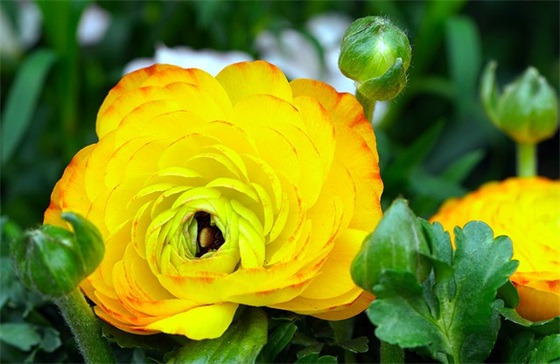 简单短的QQ网名