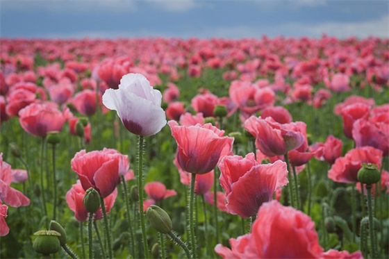 女生qq网名失望可爱