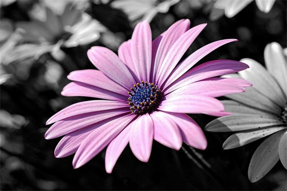 有凯字的qq网名