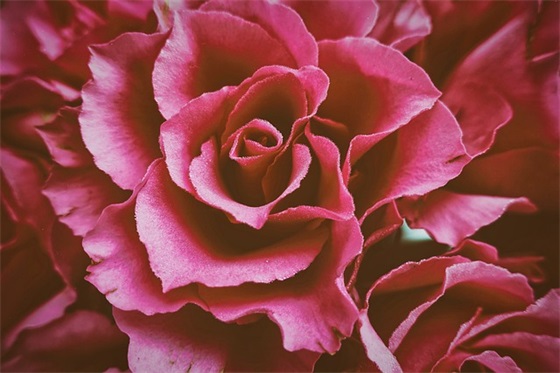 30多岁男人qq网名