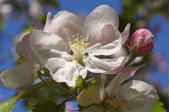 超帅QQ男生网名
