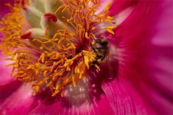 带杀字的qq网名大全