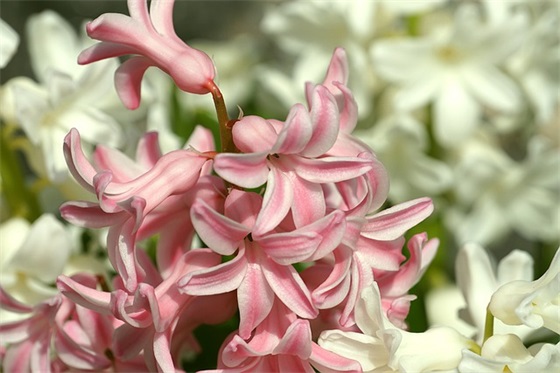 最新古风网名2025女生