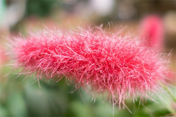 qq流行撩妹网名