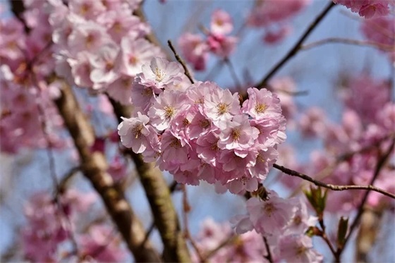 qq网名男生十岁