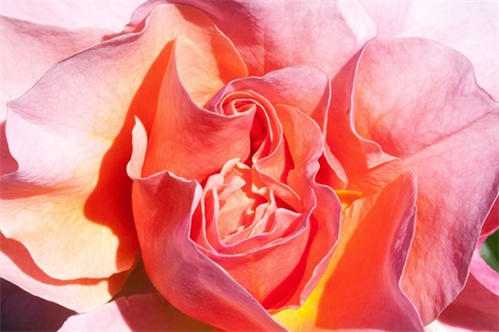 成熟男人简单的网名