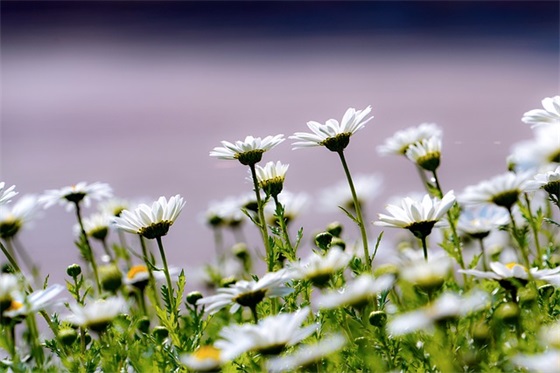 带北字的QQ网名