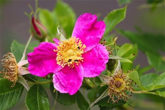 公共关系案例分析论文