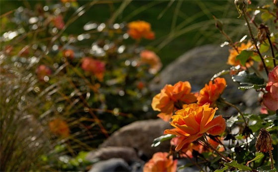 化工节能减排技术论文