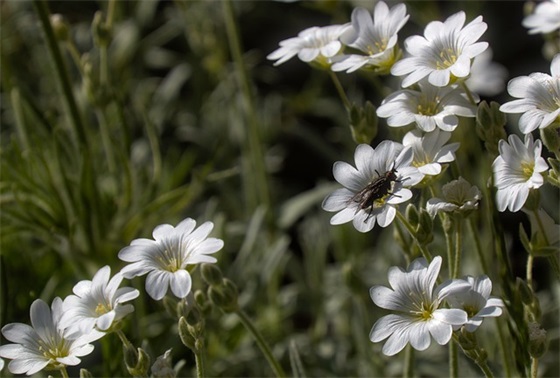 信写给十五岁的自己