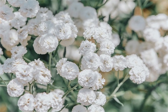 大学生心理论文