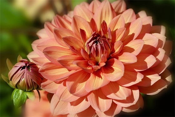 小学班级文化建设论文