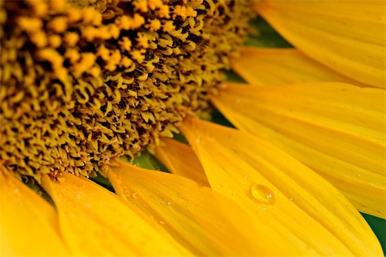 公共政策分析报告