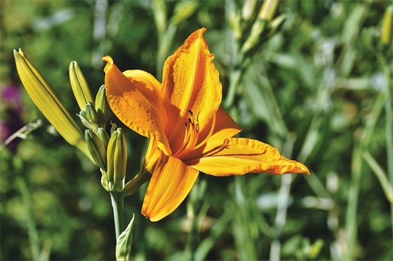 带重生的名字网名搞怪霸气