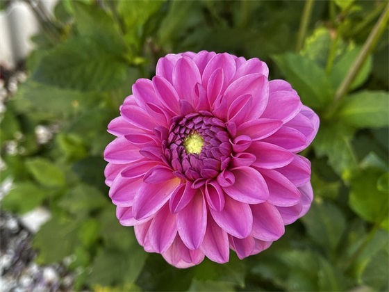 女生带欢字的网名