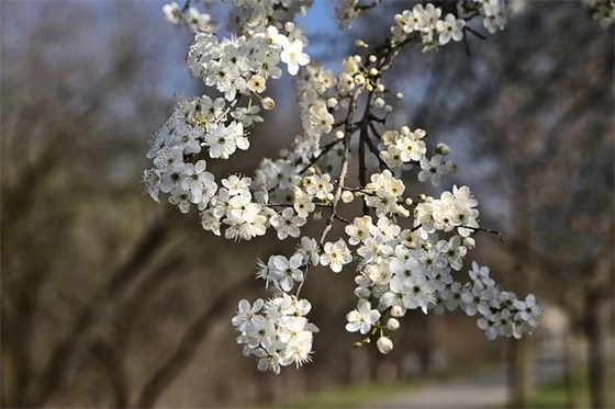 悲伤带故事的网名女