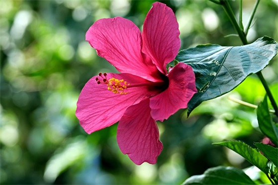 带别姖的网名昵称