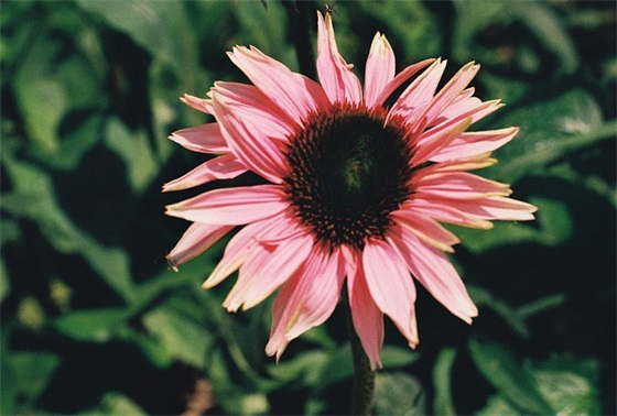 带爱豆名字的游戏网名