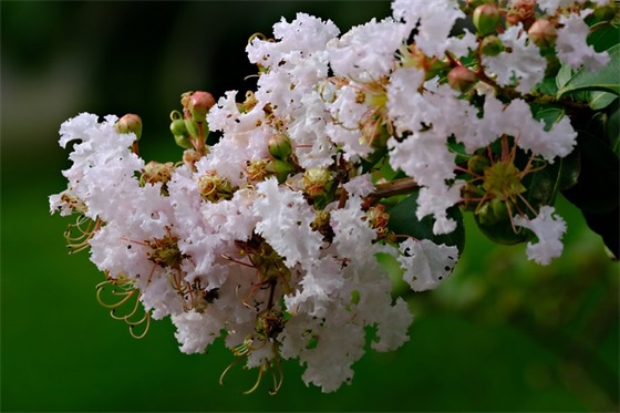 带代字的网名搞笑男生