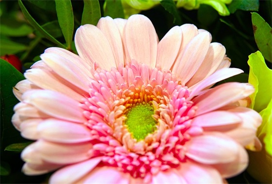 带机车的网名有哪些