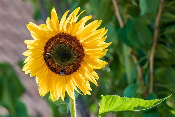 带时空兔字的网名女