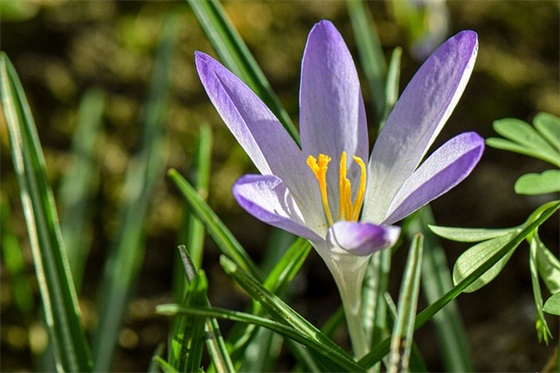 带食物的网名伤感王者视频