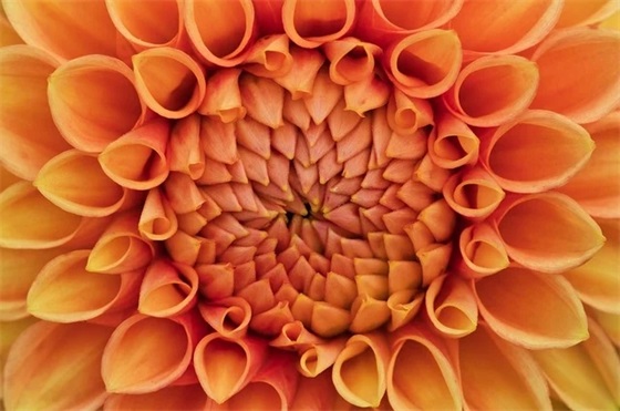 超酷有个性的扣扣网名大全(精选210个)