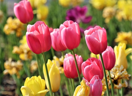 成熟女人幸福温馨名字