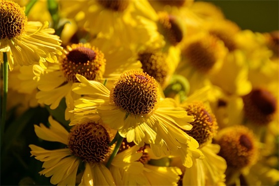 男生网名好听又帅气的网名(共213个)