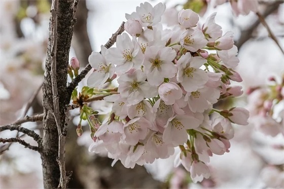 最新版的网名昵称大全(共975个)