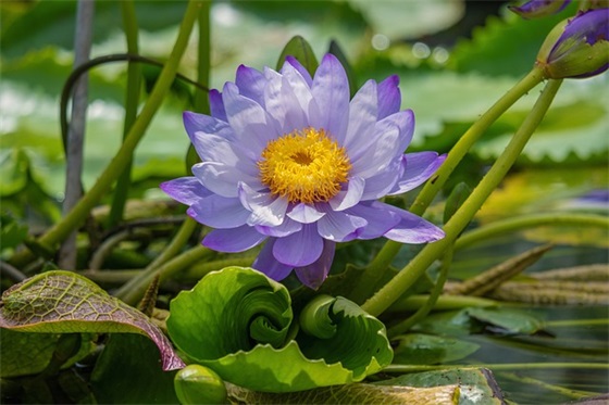 带血字的网名 优雅