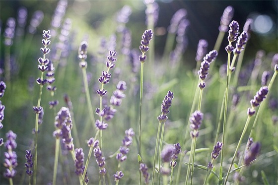 带雨云字的唯美网名