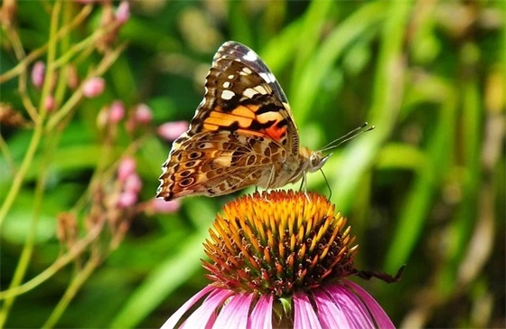 2025年女人气质昵称390个