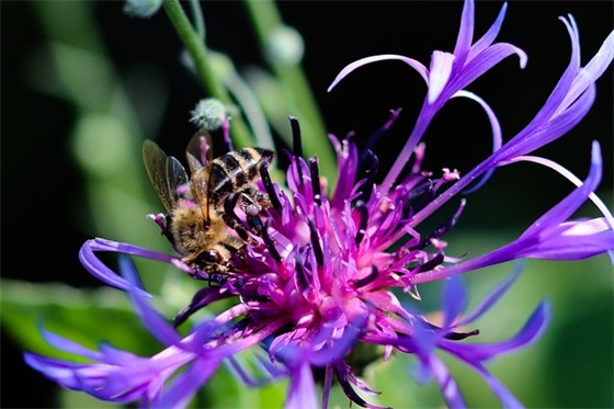 快乐阳光的微信名字(精选411个)