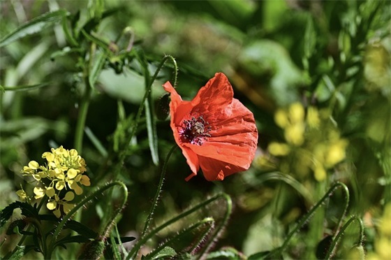 王者荣耀好听的游戏名字390个，独一无二的王者荣耀昵称大全