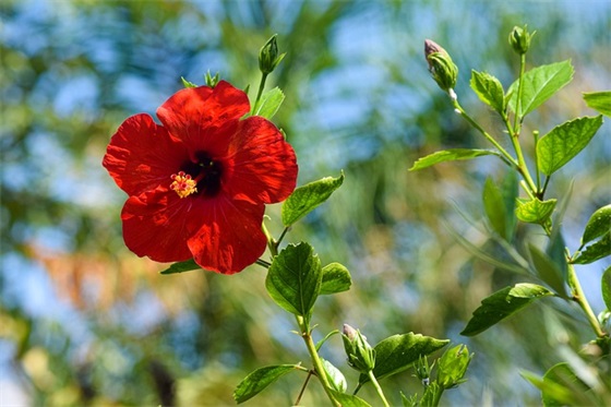 qq昵称女生简短好听温柔390个，qq网名 女生 昵称 好听