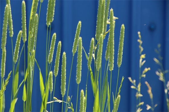 男生比较文艺的微信名(397个)