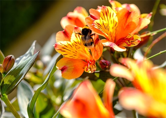 让人一看就想关注的网名女生 让人瞬间记住